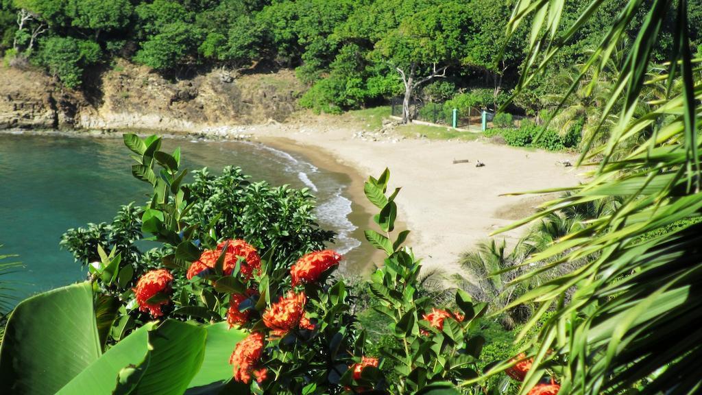 Anse Figuier Gites De France Terre-De-Haut Ruang foto